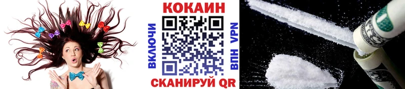 Купить закладки  Тулун  COCAIN Fish Scale 