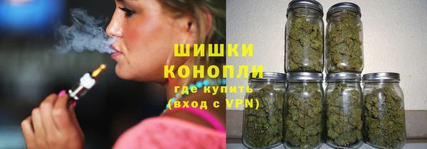 молекула духа Богородск