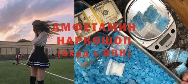 молекула духа Богородск