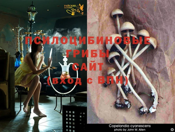 твердый Богданович