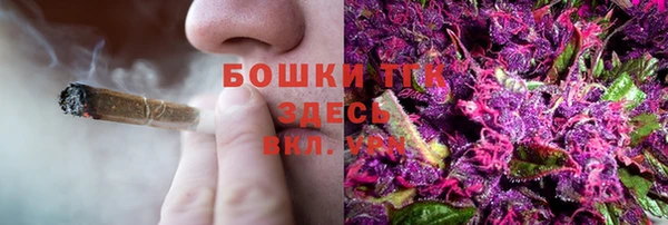 твердый Богданович