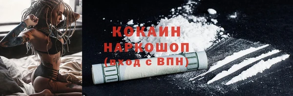 твердый Богданович