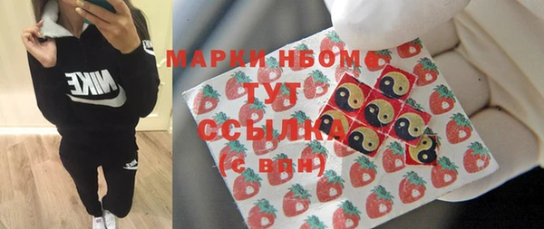 твердый Богданович