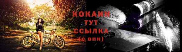 твердый Богданович
