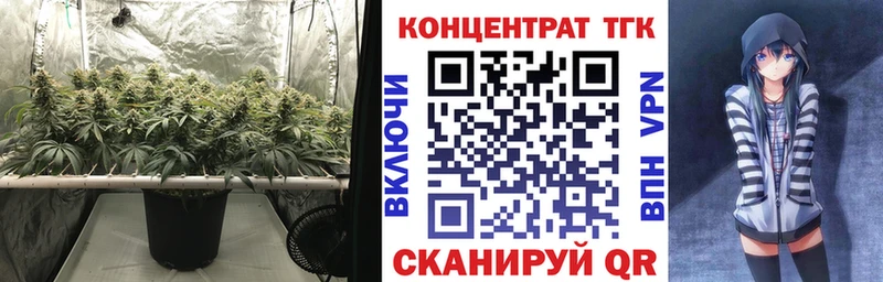 Купить где  Тулун  ТГК THC oil 