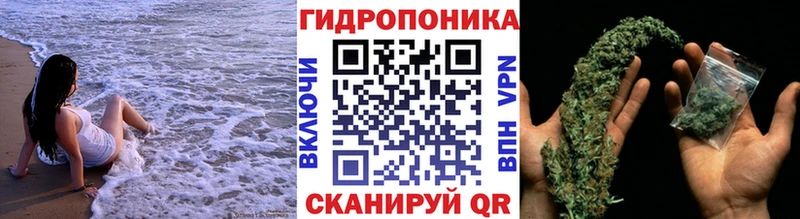 МАРИХУАНА AK-47  Купить закладки  Тулун 